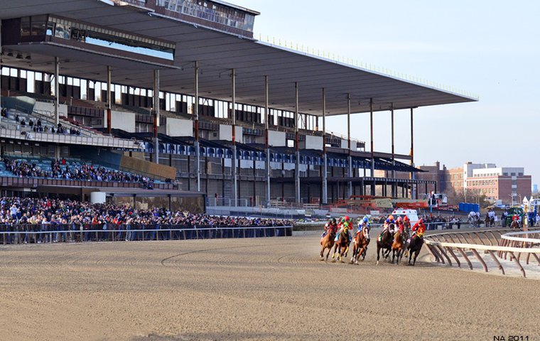 aqueduct race