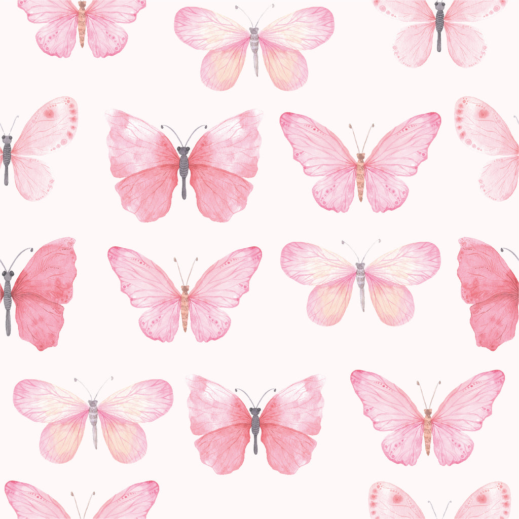 pink butterfly pictures