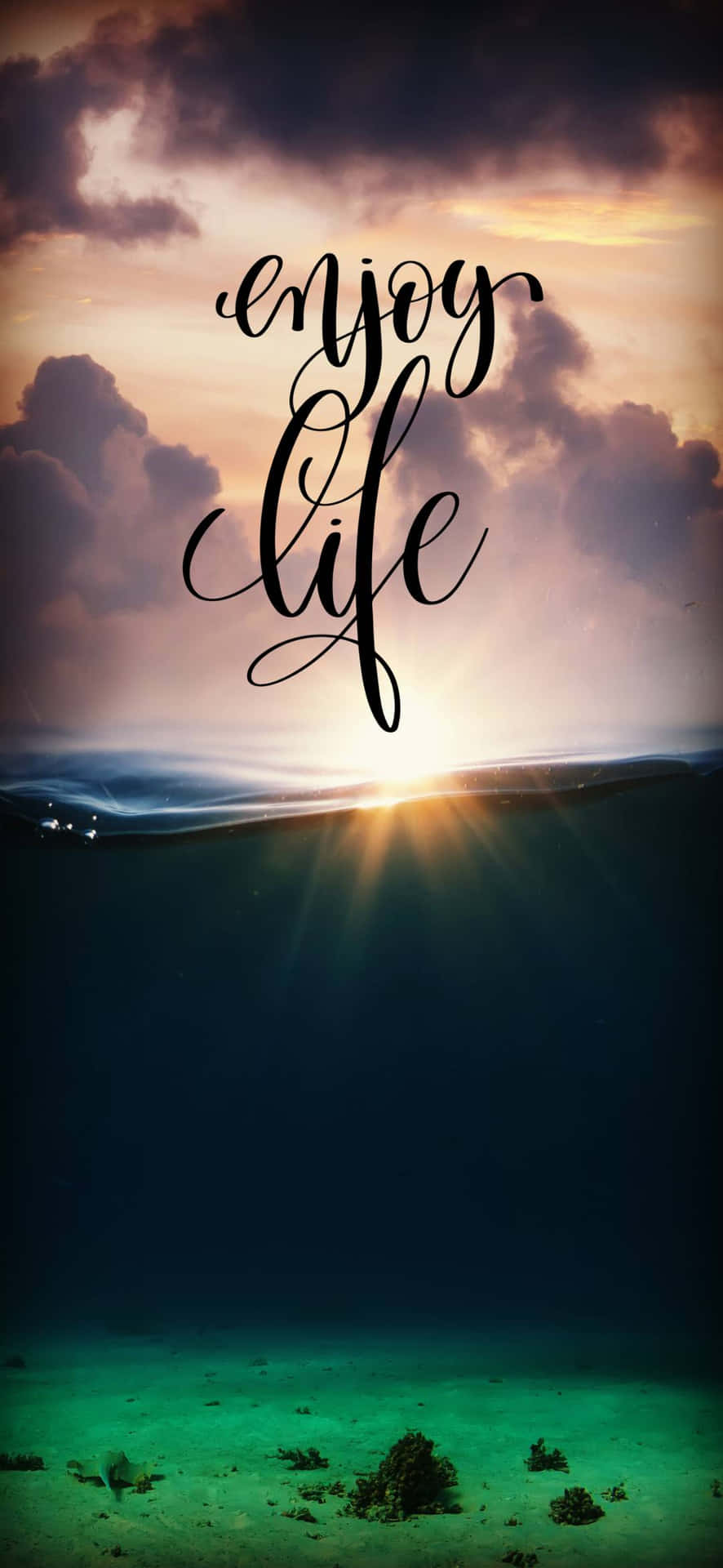 enjoy life wallpaper