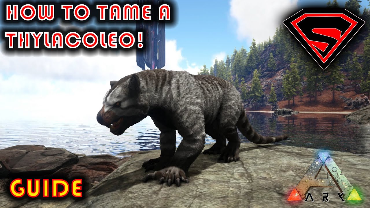 tame thylacoleo