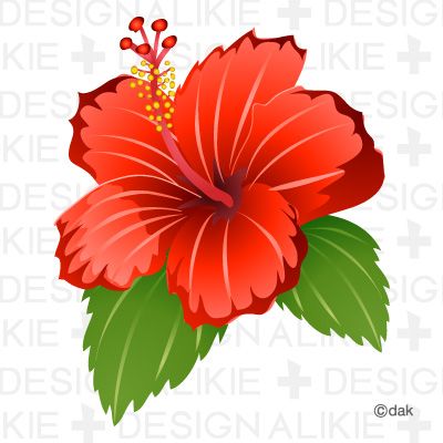 hibiscus clip art