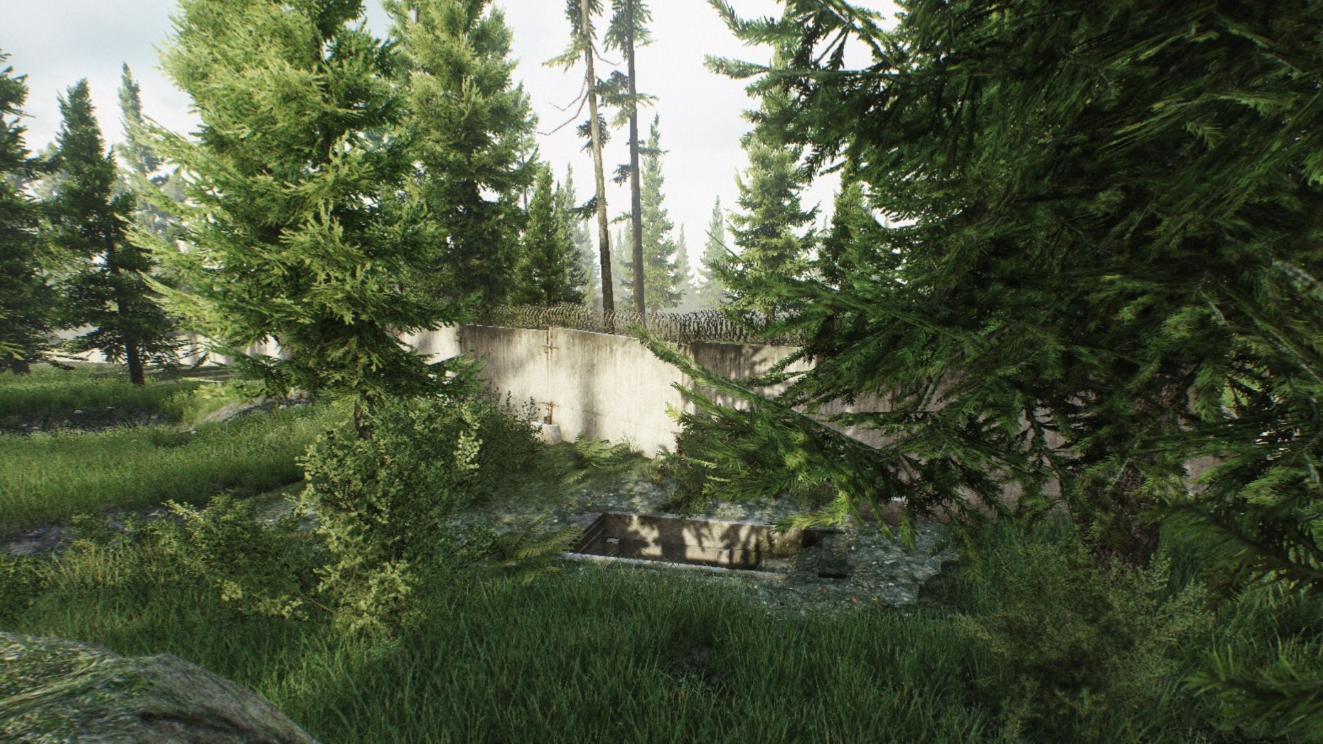 woods tarkov