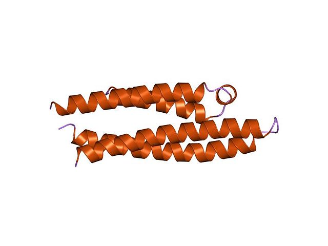 apoprotein