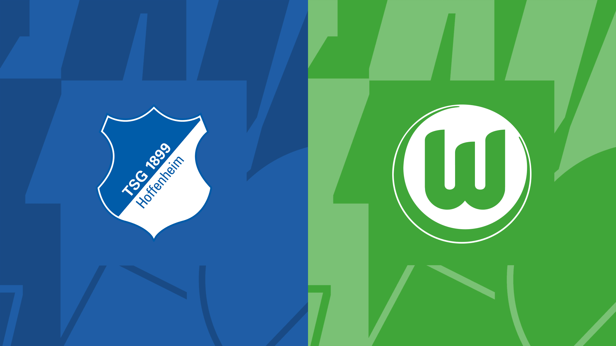 hoffenheim vs