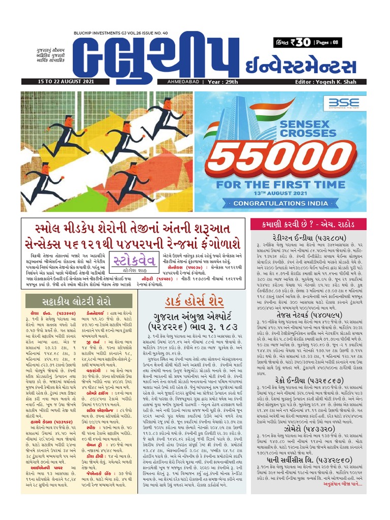 bluechip investment gujarati newspaper