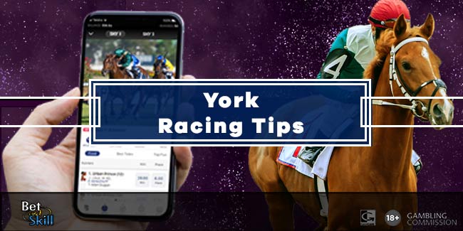 york races tips