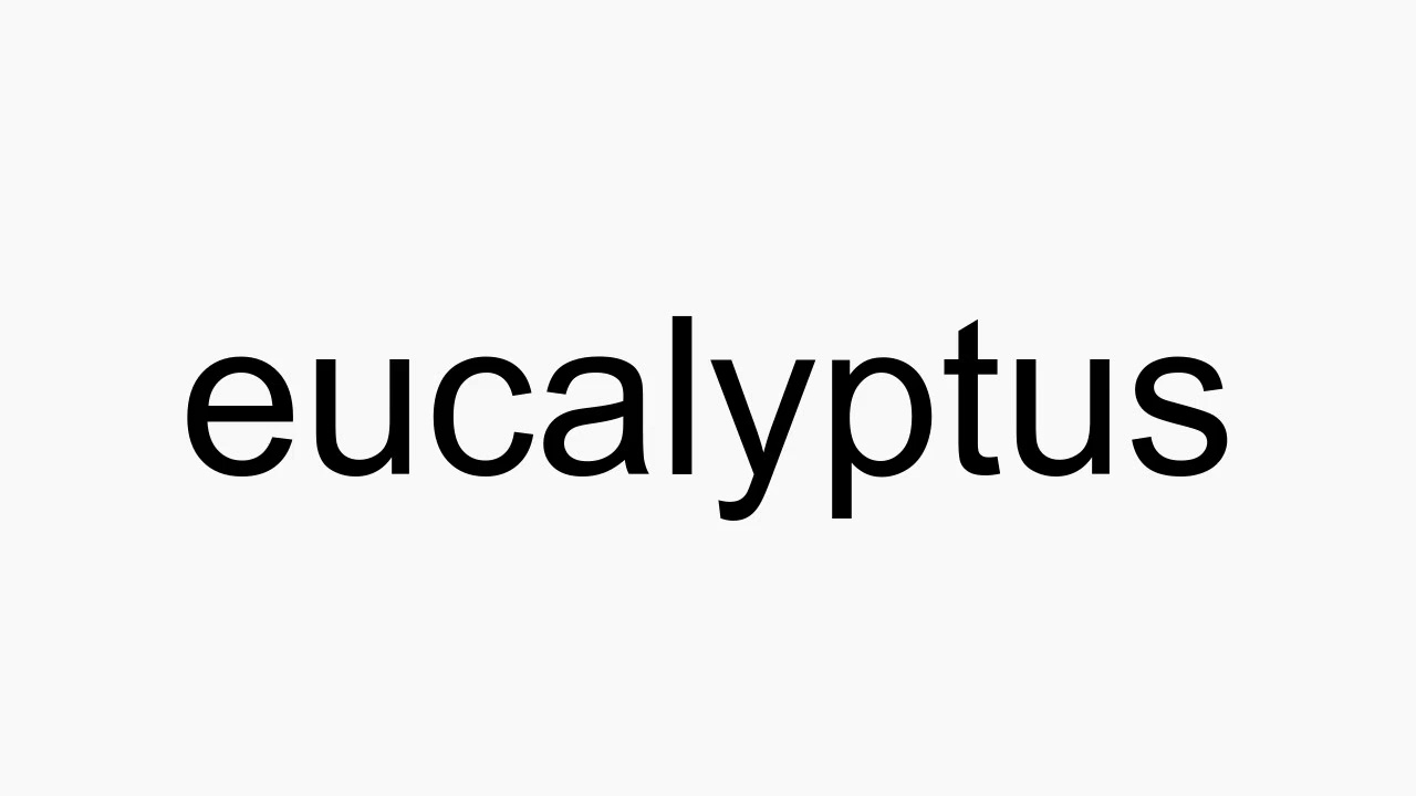 eucalyptus pronunciation