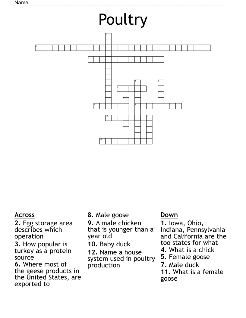 poultry crossword