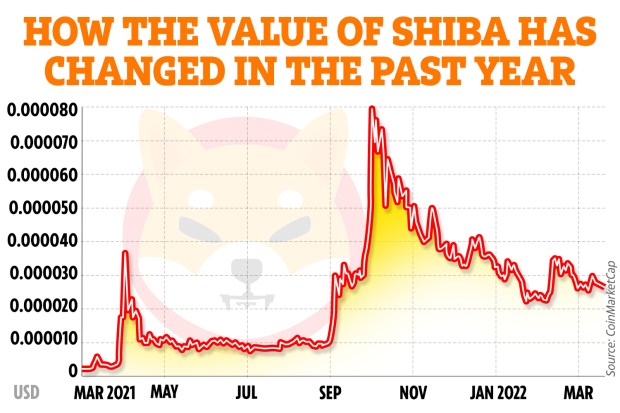 shiba inu coin price today