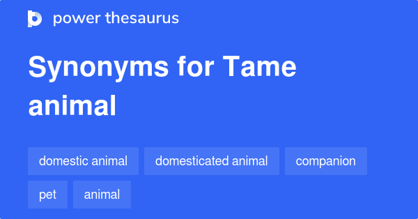 tame synonym