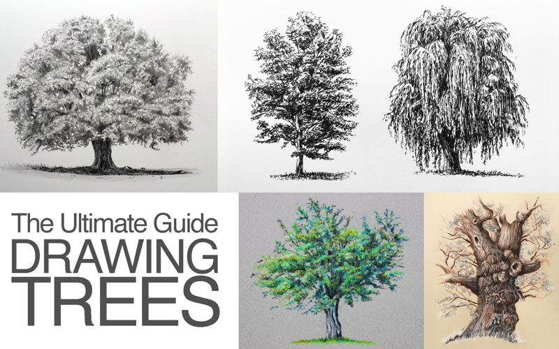 drawing realistic trees step by step