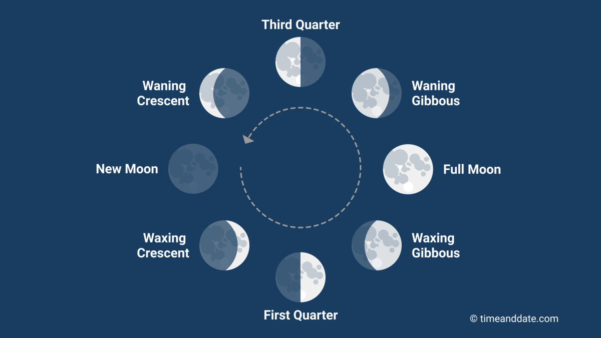 is tonight the new moon