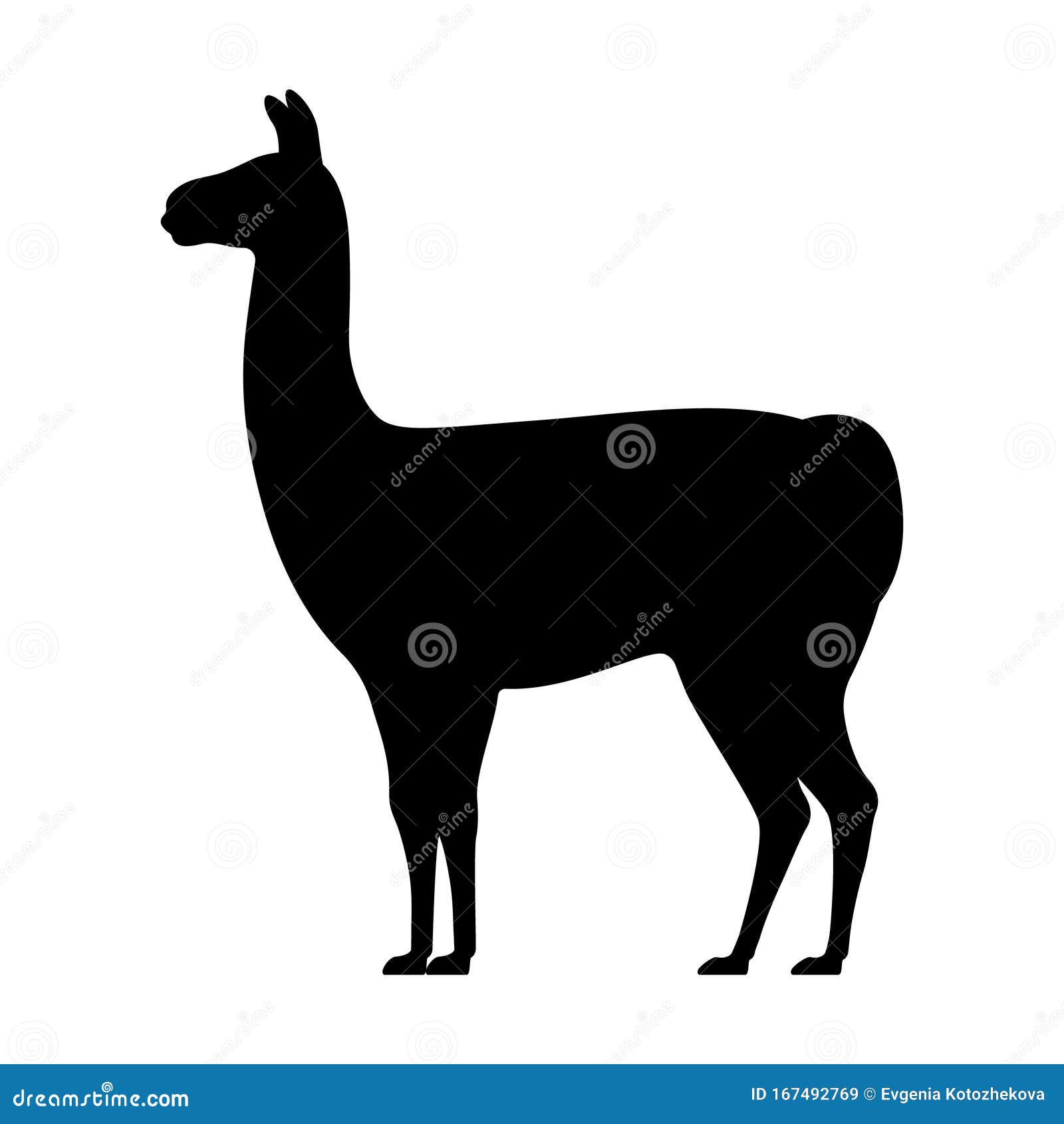 silhouette llama