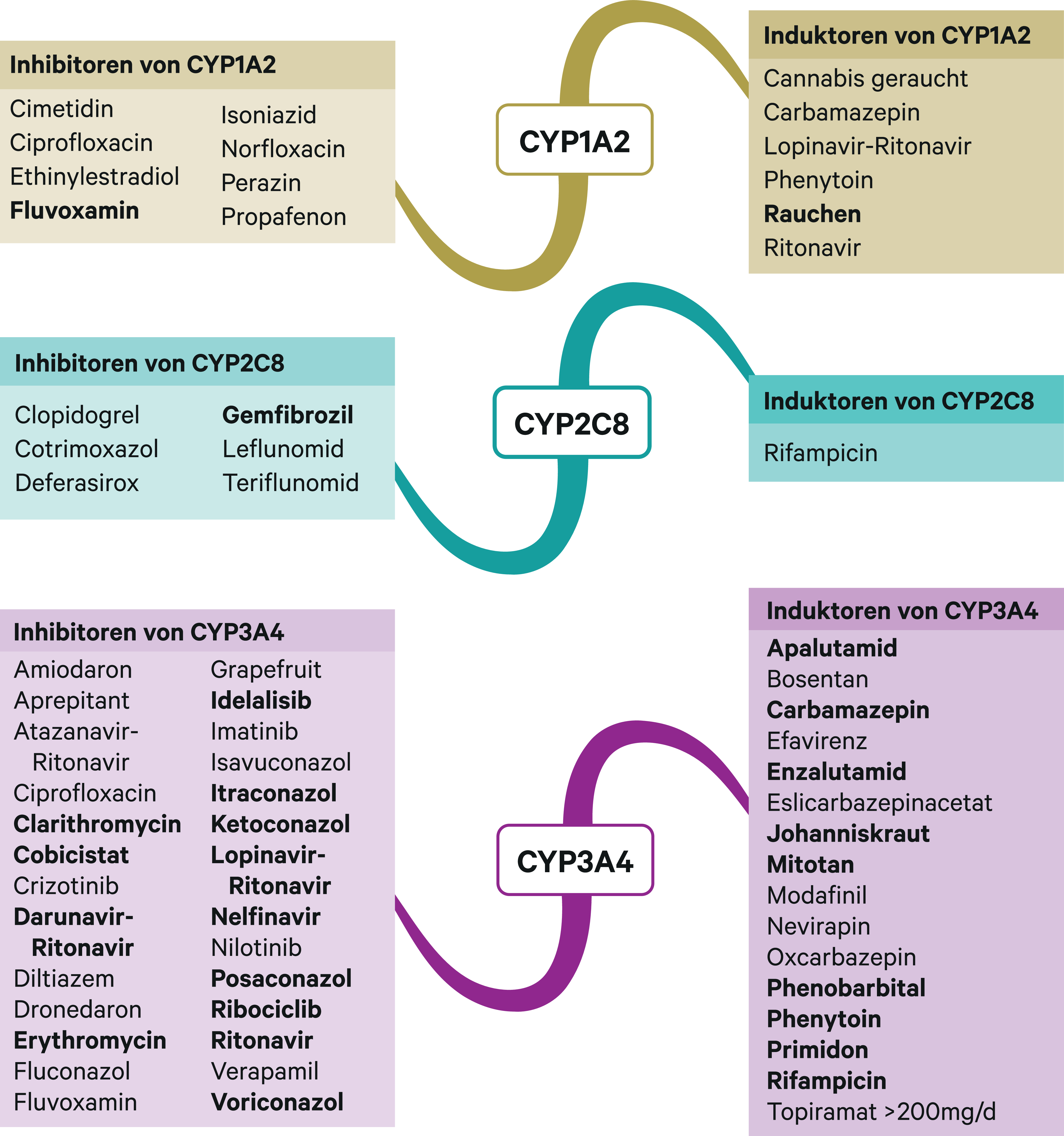 cyp3a4 hemmer