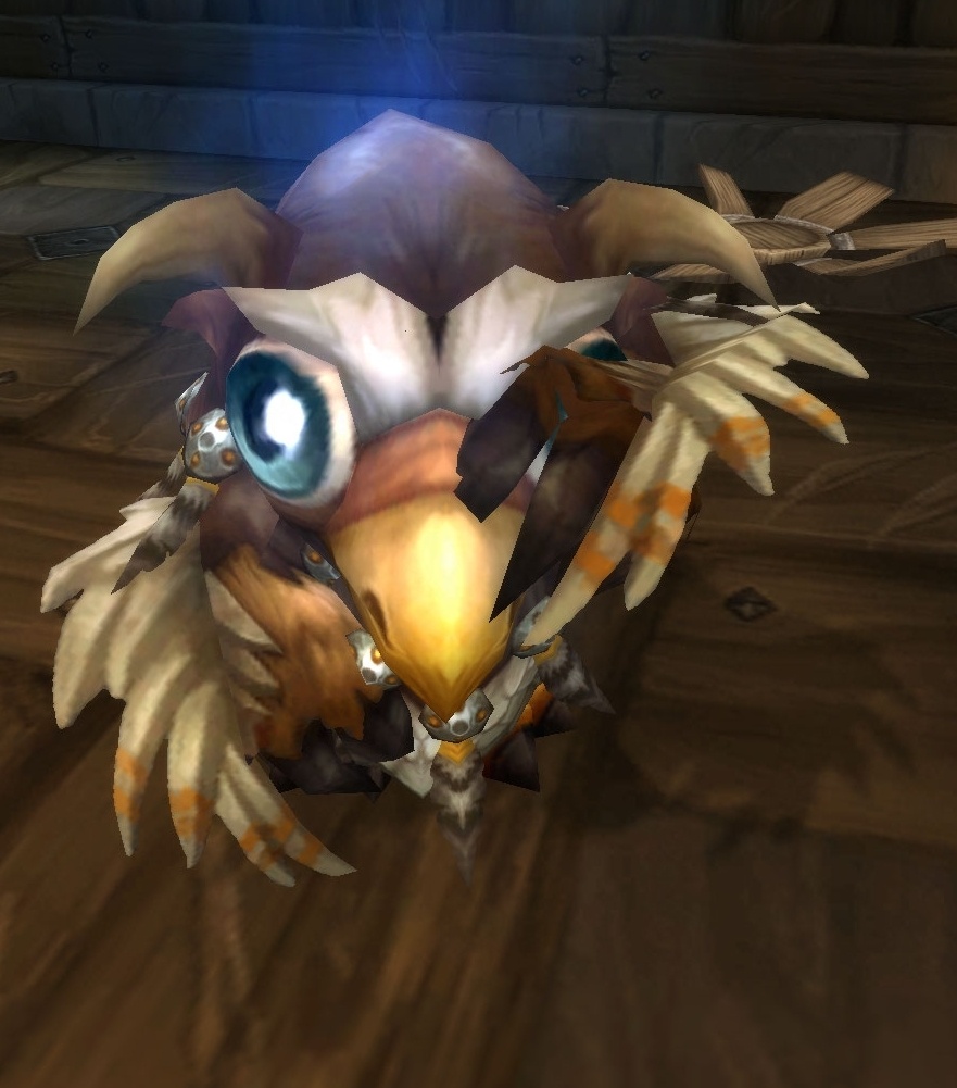 moonkin pet