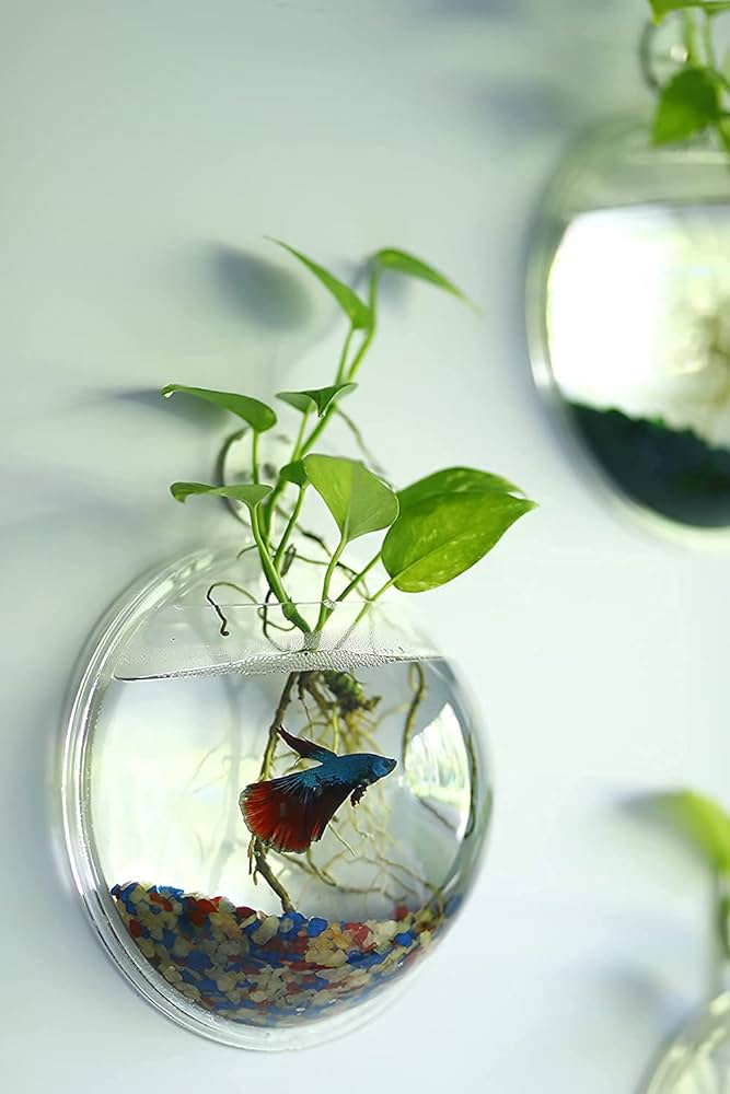 wall hanging fish tank