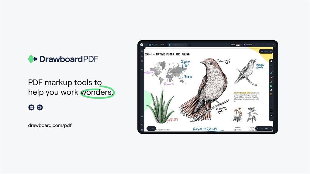 download drawboard pdf windows 10 free