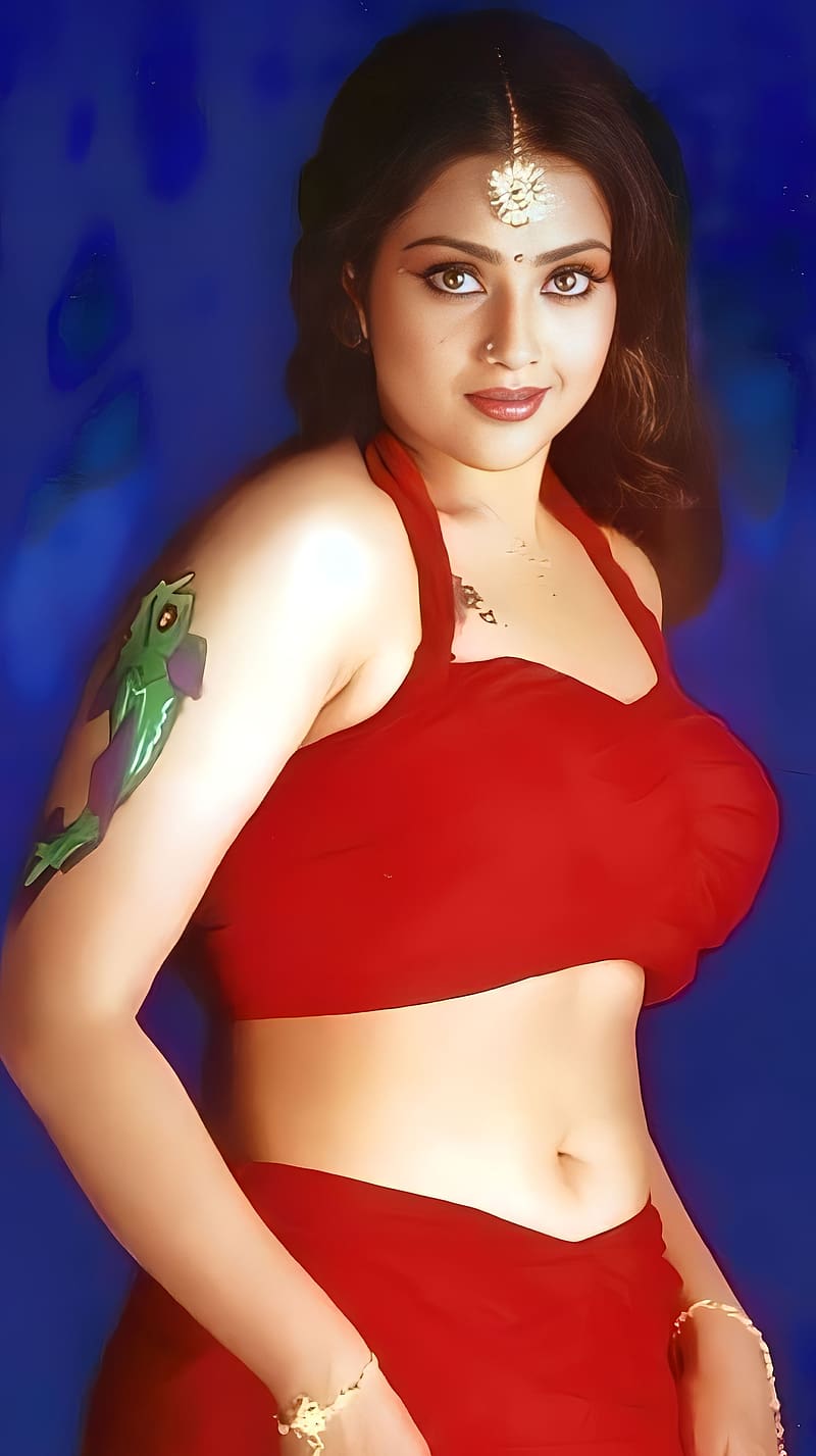 actress meena boobs