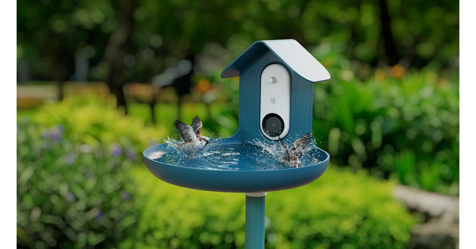 bird buddy accessories