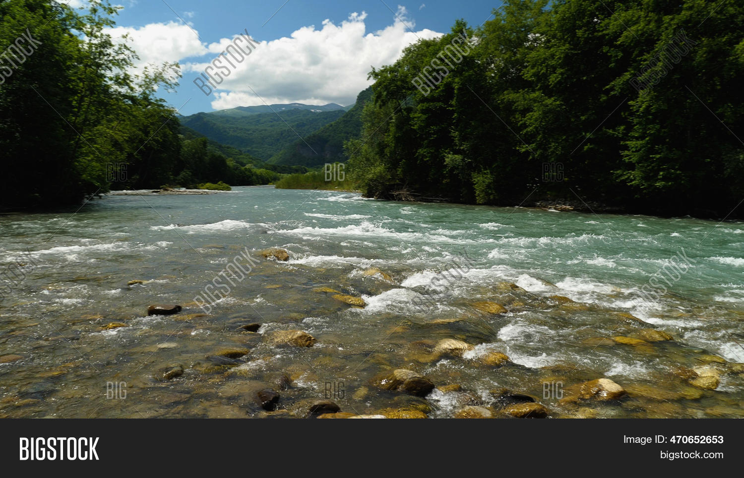 the river wild torrent