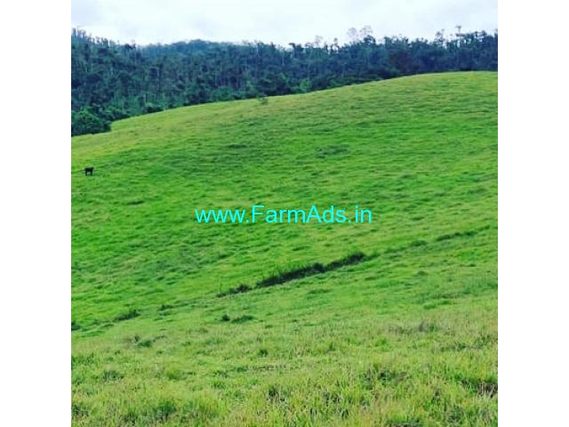 land for sale in sakleshpur