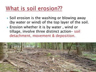 soil erosion meaning in malayalam