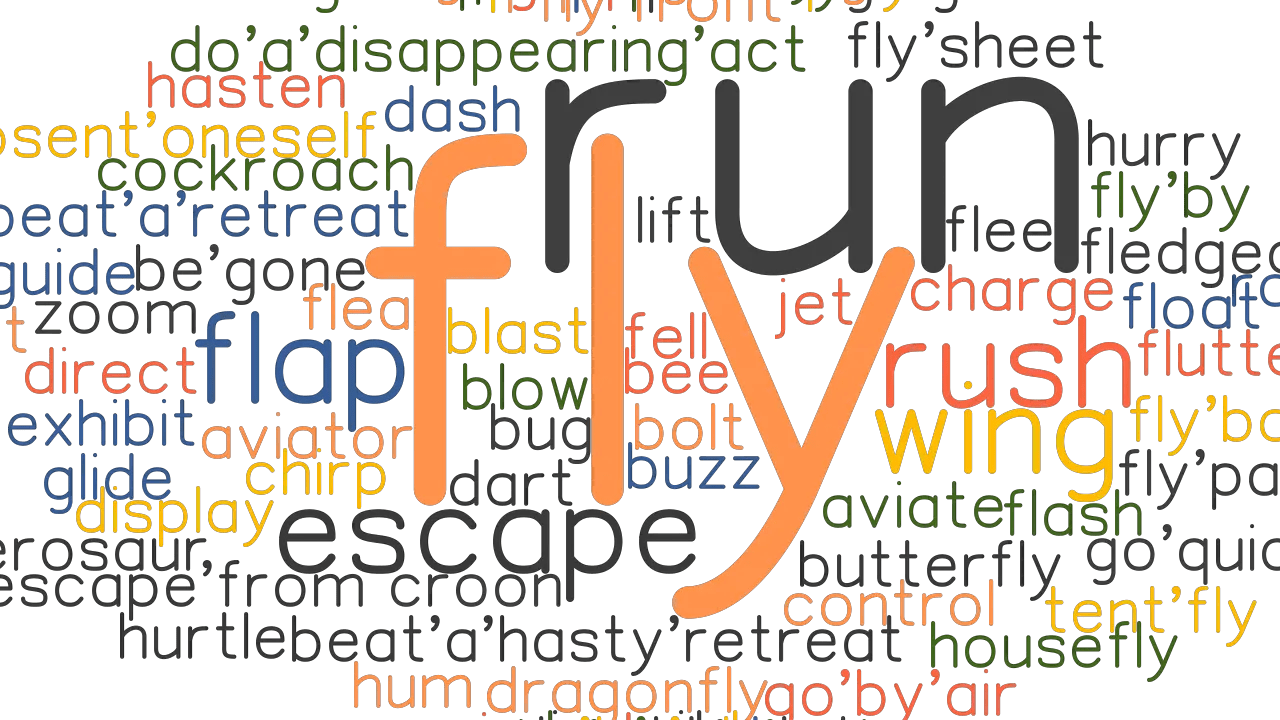 another word for fly