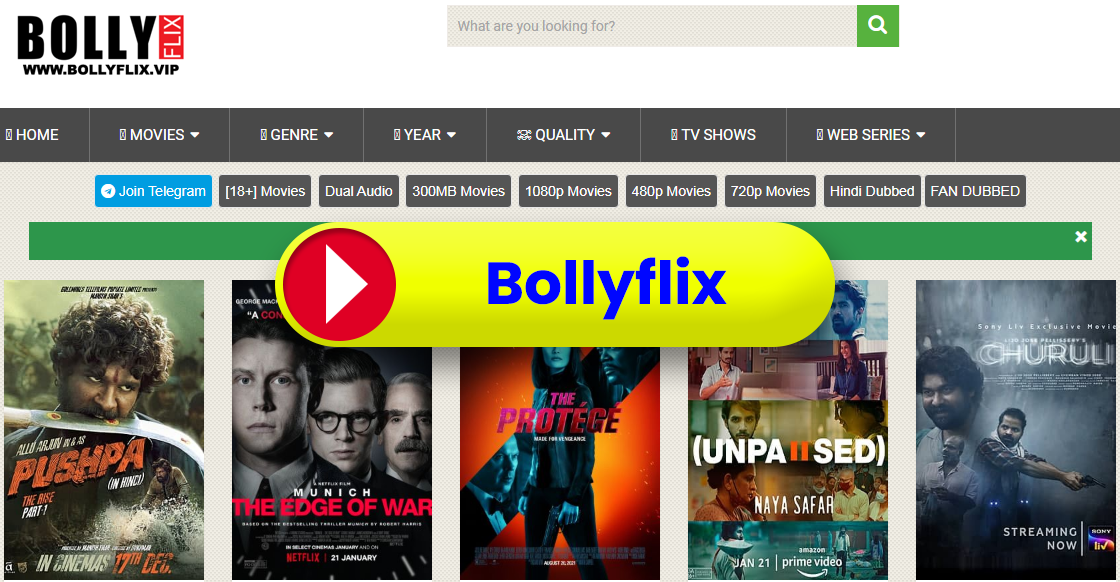 bollyfix