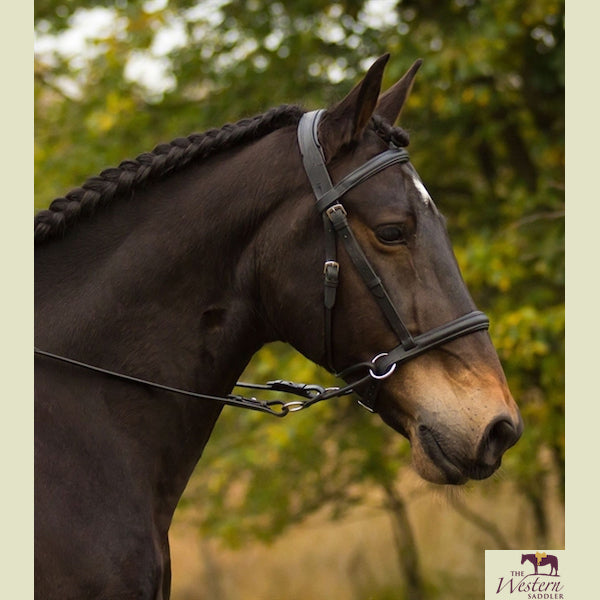 bitless bridle uk