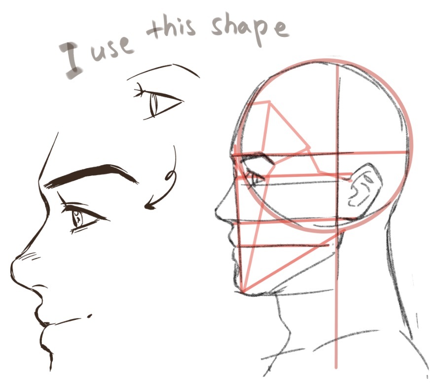 how to draw side profiles