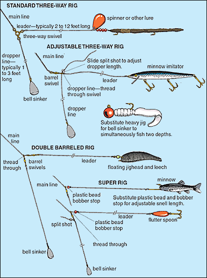 bottom bouncing rigs for walleye