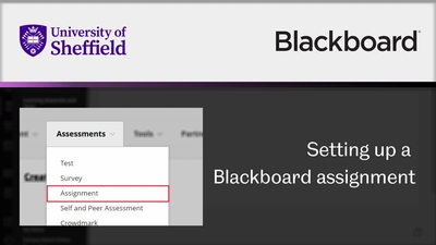 blackboard sheffield university