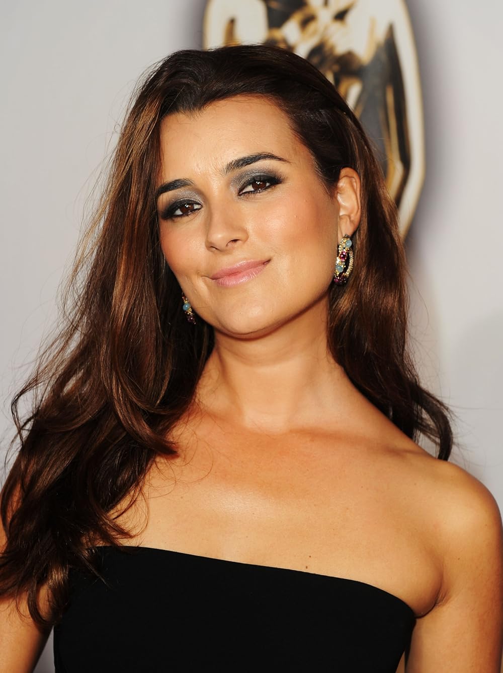 cote de pablo imdb