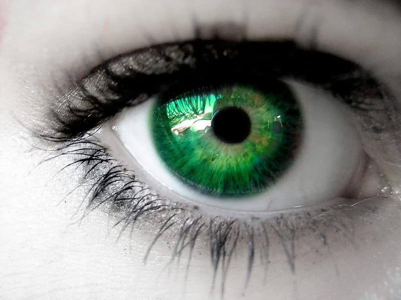 green eyes wallpaper