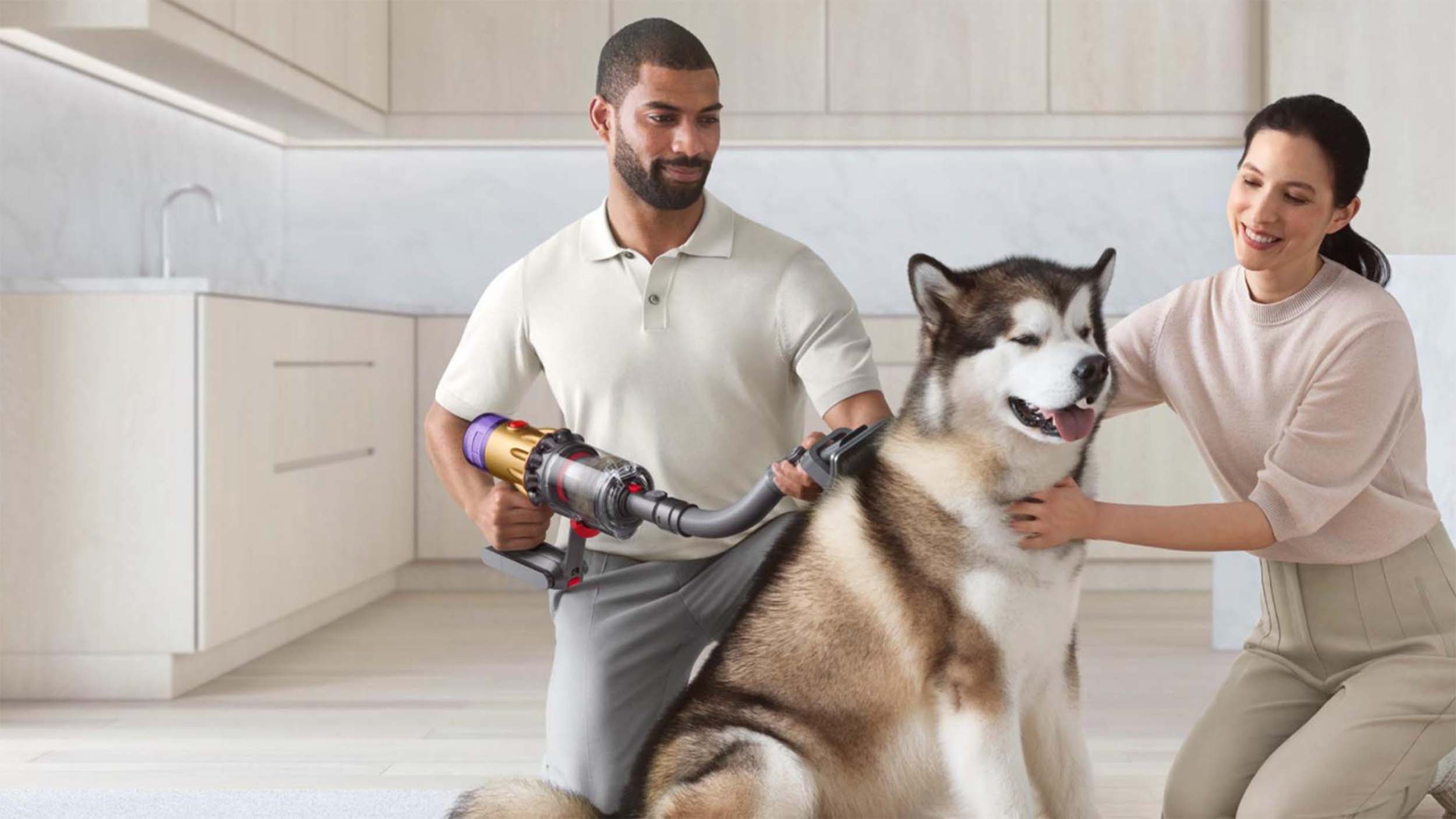 dyson grooming kit