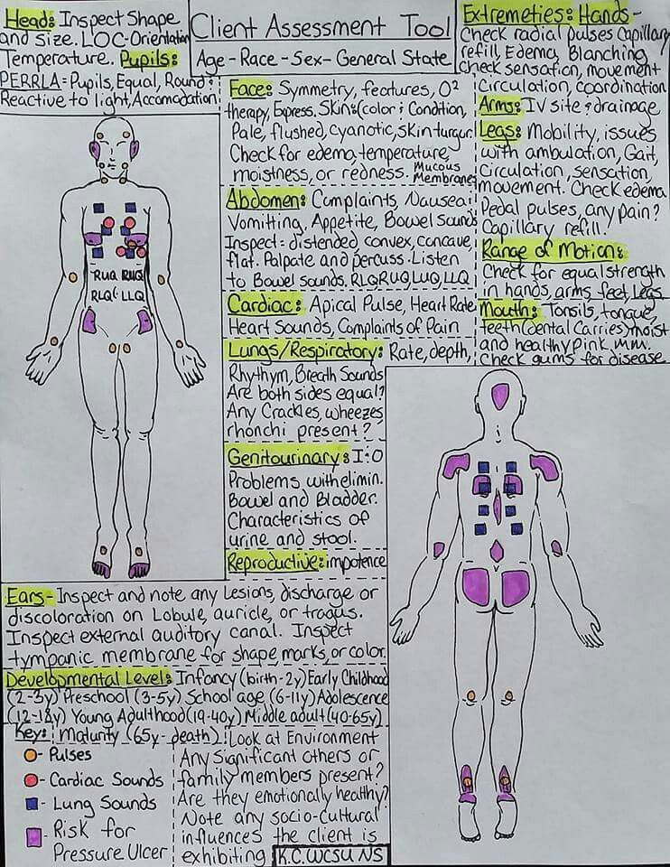 head to toe assessment cheat sheet