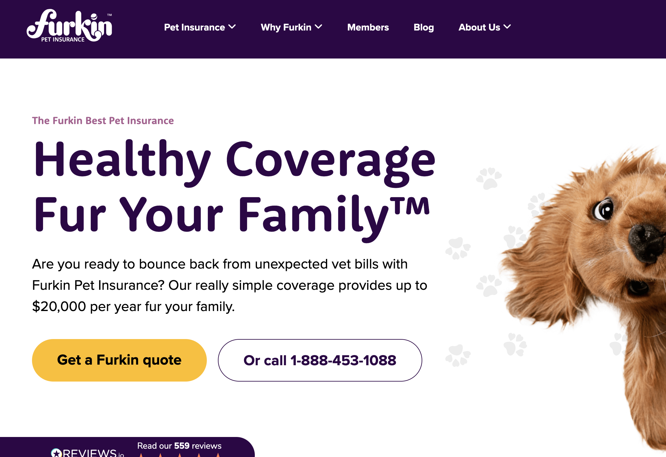 furkin pet insurance