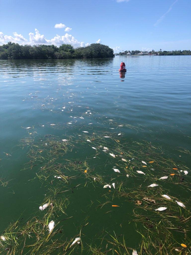 red tide hope island