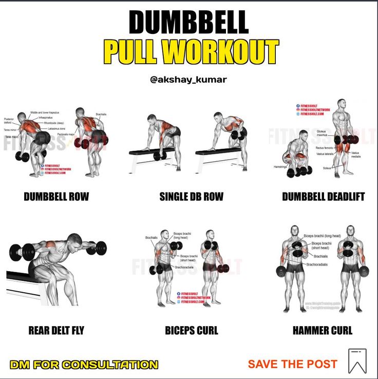 dumbbell pull day