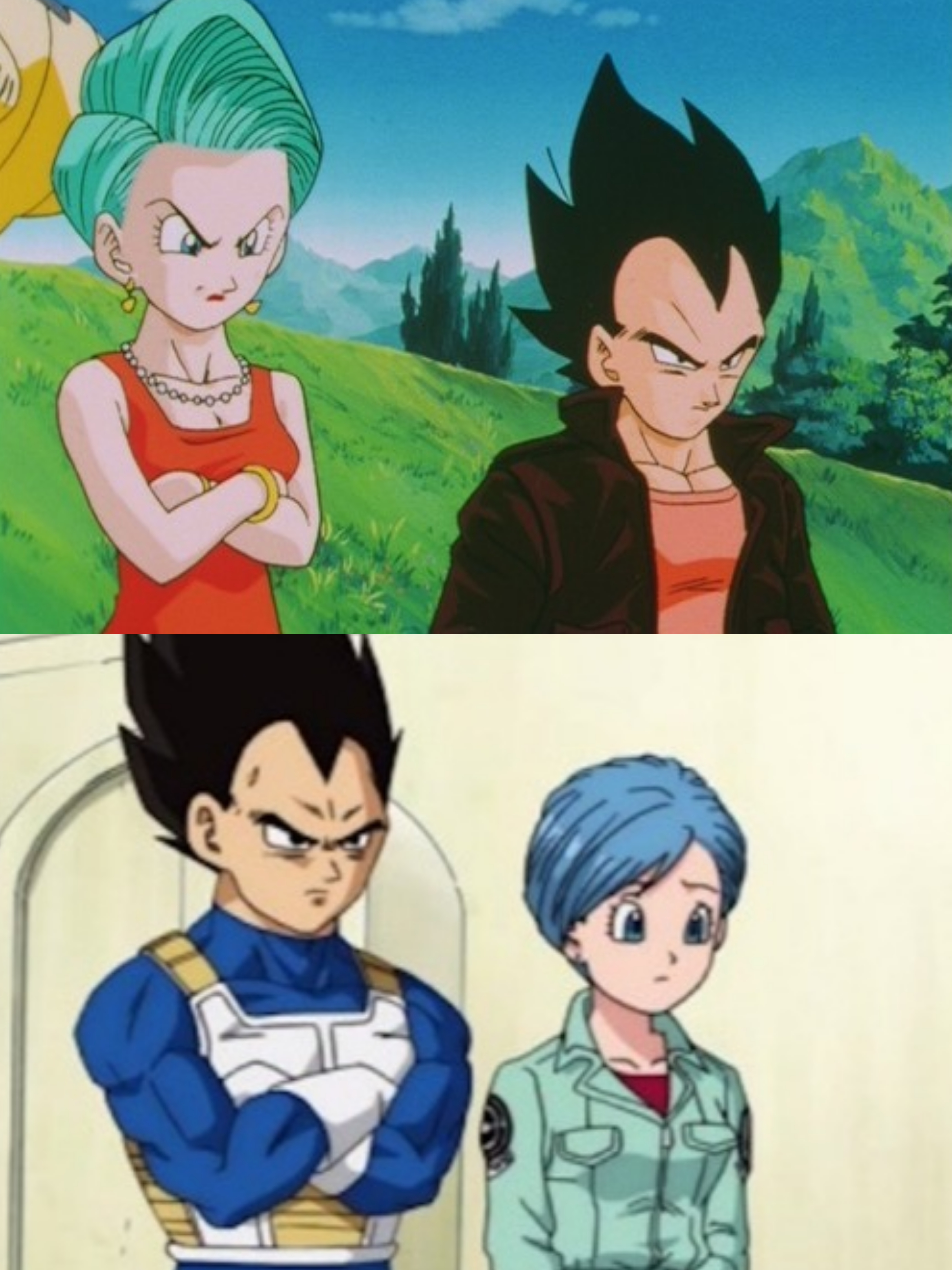 dbz vegeta and bulma