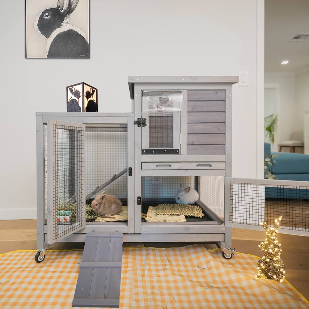 cheap bunny hutch