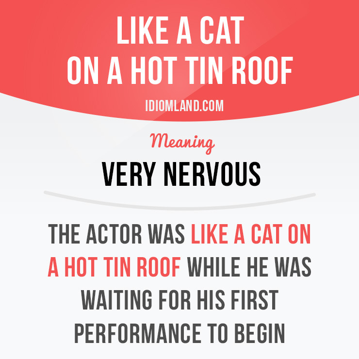 cat on a hot tin roof meaning