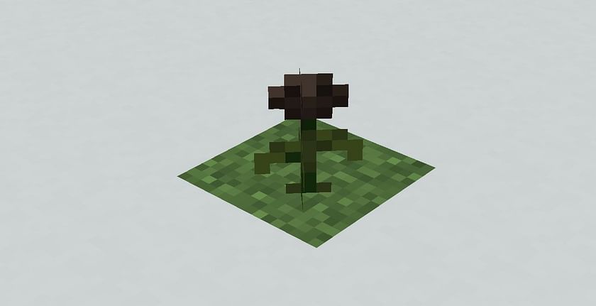 wither rose minecraft wiki