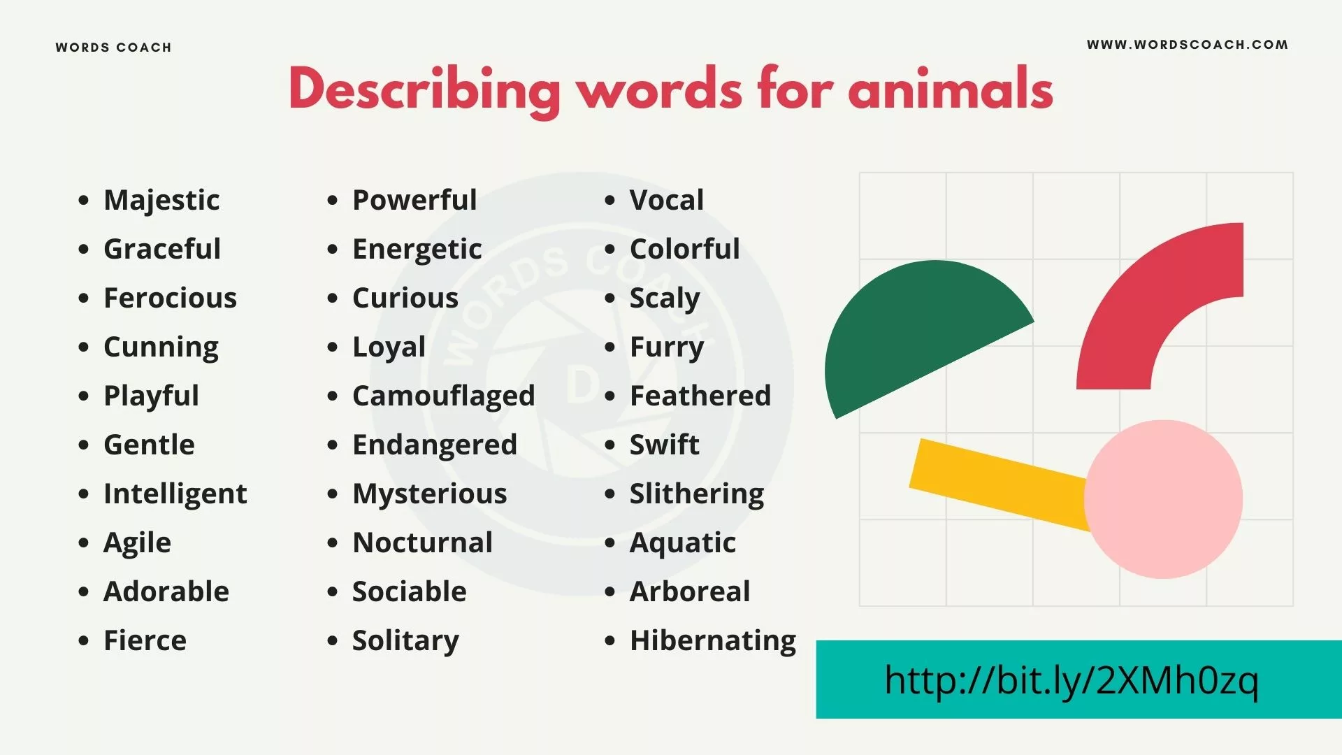 other words for animals