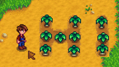 foraging stardew