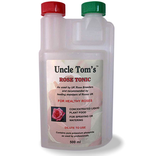 uncle toms rose tonic