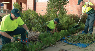 cheap gardening services perth