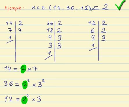 divisor 14