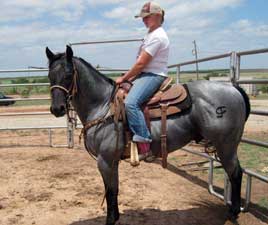 blue roan horses for sale in texas