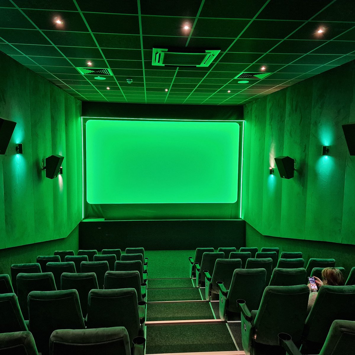 the avenue cinema belfast reviews